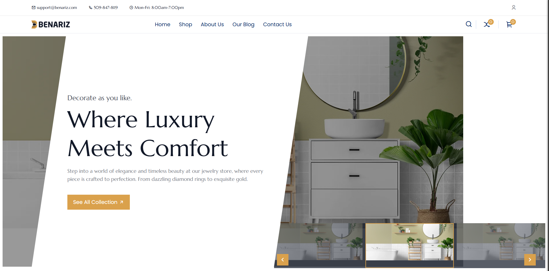 Sanitary Shop WordPress Theme